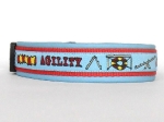 Agility hellblau - Breite ca. 3,2 cm (incl. Leder)