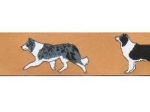 Border Collie beige - 24 mm