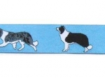 Border Collie blau - 24 mm