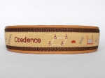 Obedience sand-braun - Breite ca. 3,2 cm (incl. Leder)